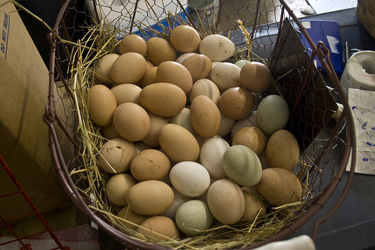 Post image for Un-diversification: Does it ever make sense to put your eggs in one basket?